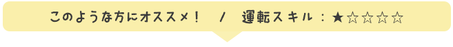 運転スキル：★☆☆☆☆